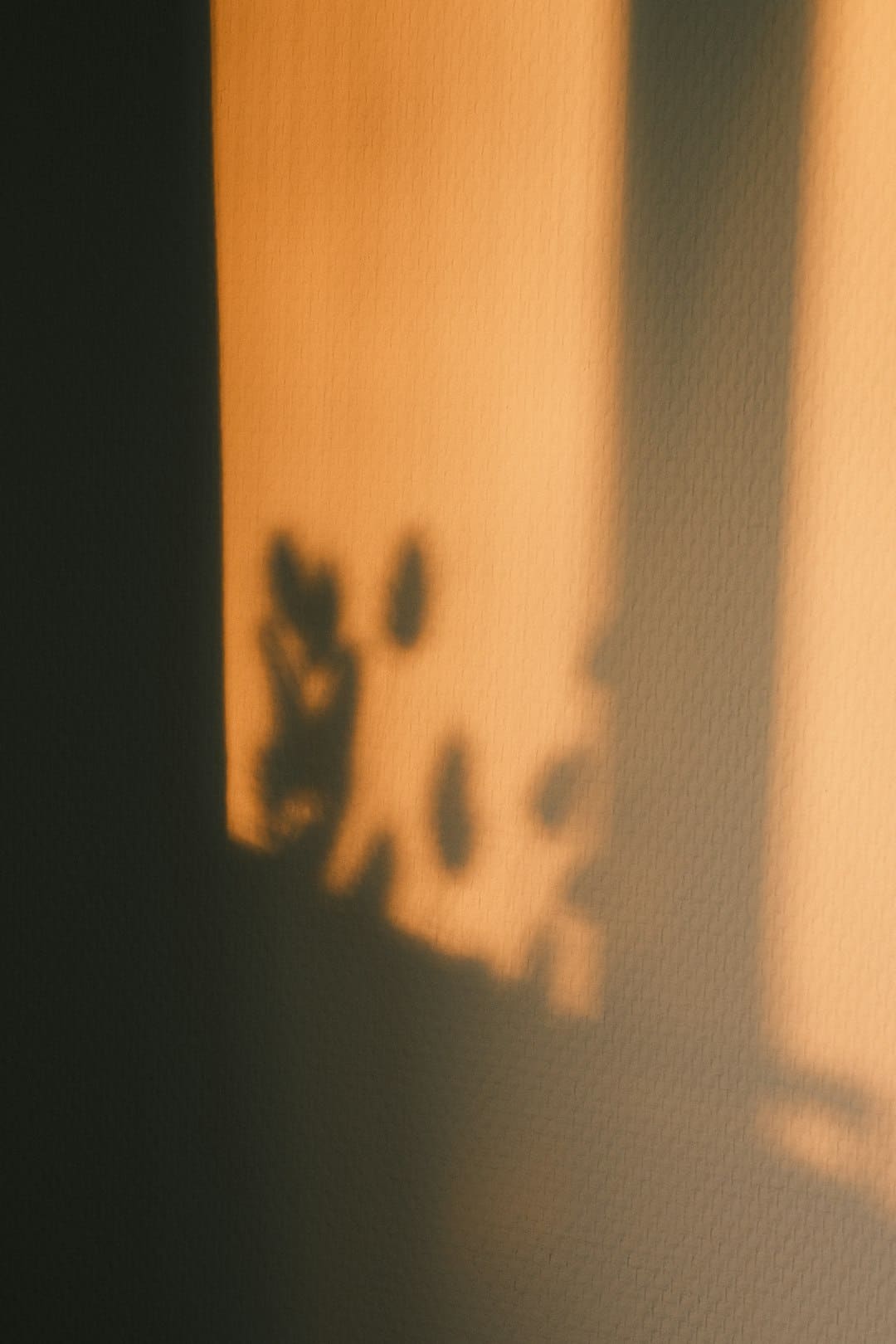 http://n.sinaimg.cn/default/1_img/upload/3933d981/761/w930h631/20180316/Out9-fysiaxh9446819.jpg?zdy